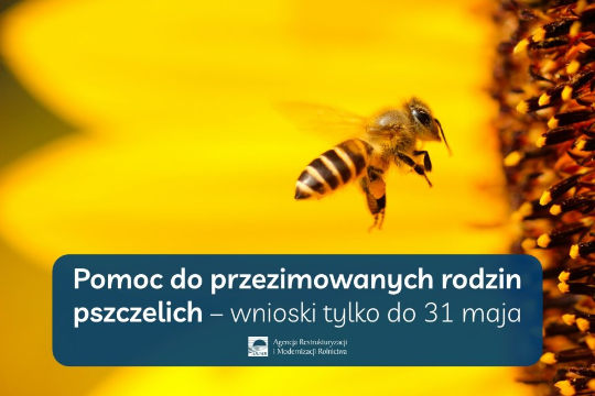 Pomoc do przezimowanych rodzin pszczelich
