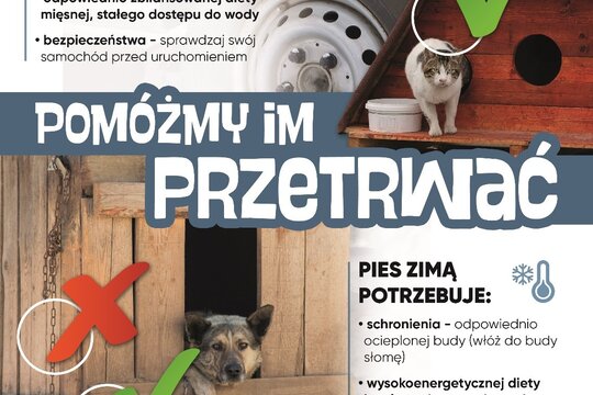 Apel do właścicieli psów o odpowiedzialność