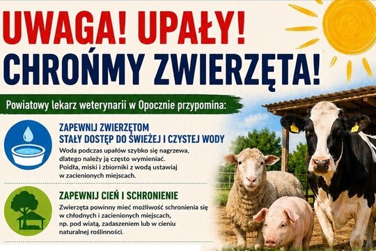 Ochrona zwierząt przed upałami